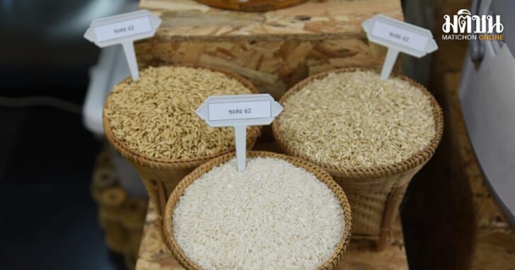 rice1