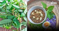 น้ำพริกใบส้มลม รสใบไม้ในน้ำพริกผัด