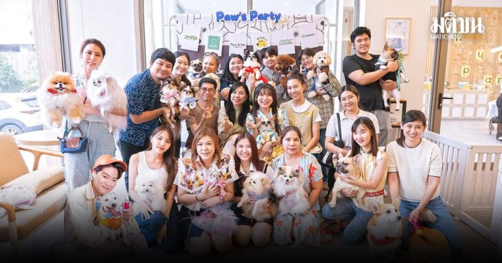 รูปรองชื่น14มิ.ย. Paw & Pal by One & All ปลอดภัยทั้งสัตว์และคน