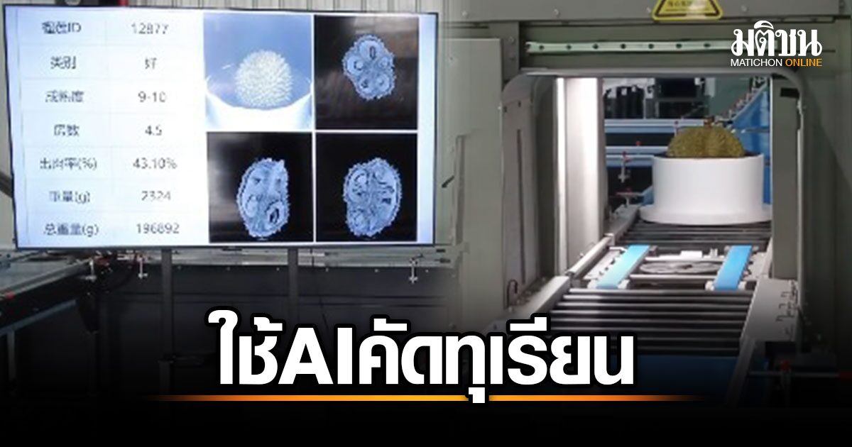 ทุเรียนยุคใหม่! จีนพลิกโฉมคัดแยกผลไม้ด้วย AI ที่ซานย่า เพิ่มความแม่นยำและประสิทธิภาพ