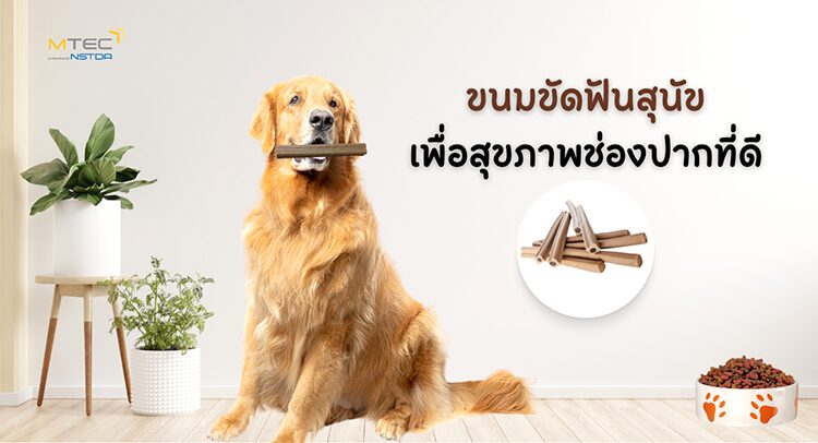 ขนมขัดฟันสุนัขสูตรใหม่! แข็งแรงขึ้นเพื่อสุขภาพช่องปากที่ดีเยี่ยม - MTEC x SIP