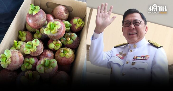 สวนมังคุด-จตุพร