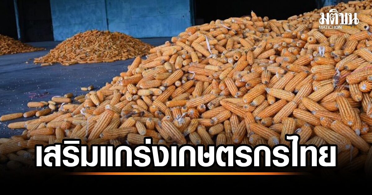 ข่าวดีเกษตรกรไทย! ข้าวโพด-กากถั่วเหลือง จีเอ็ม ได้รับอัตราภาษีใหม่ 19% ลดภาระค่าใช้จ่าย
