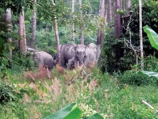 อุทยานฯ