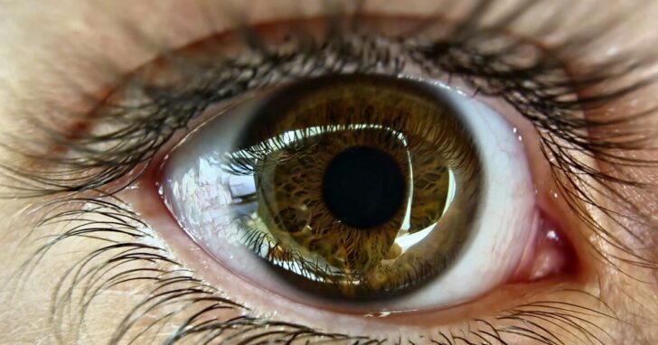 biometrics 2_000