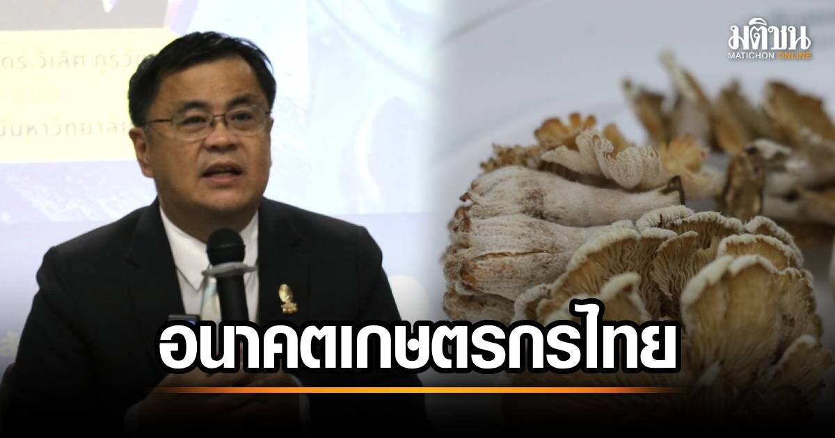 จุฬาฯ ผุดนวัตกรรม 'เห็ด' สุดล้ำ! ไม่ใช่แค่เฮลธ์ตี้ แต่ยังสวยเด้ง ออร่าพุ่ง! เปิดตัวสุดอลังการ
