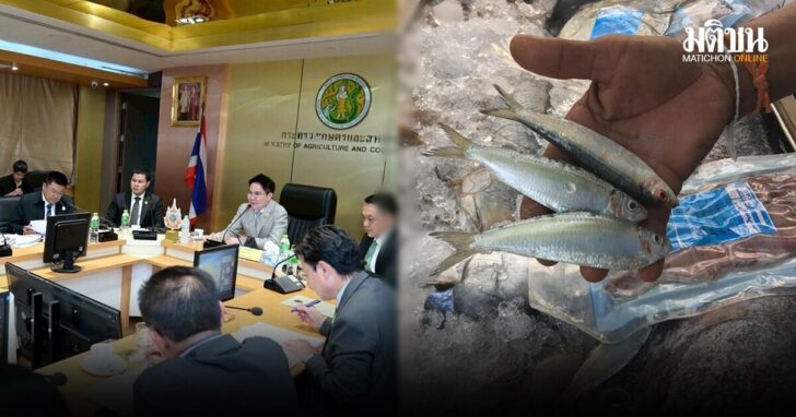 fish3