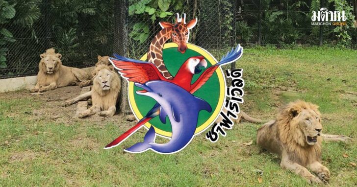 .ซาฟารีเวิลด์ ประกาศปิดปรับปรุง โซนสัตว์ดุร้าย แจ้งยังให้บริการ Safari Park – Marine Park ปกติ.