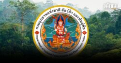 กรมอุทยาน