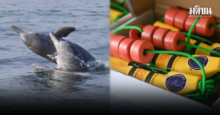 fish3
