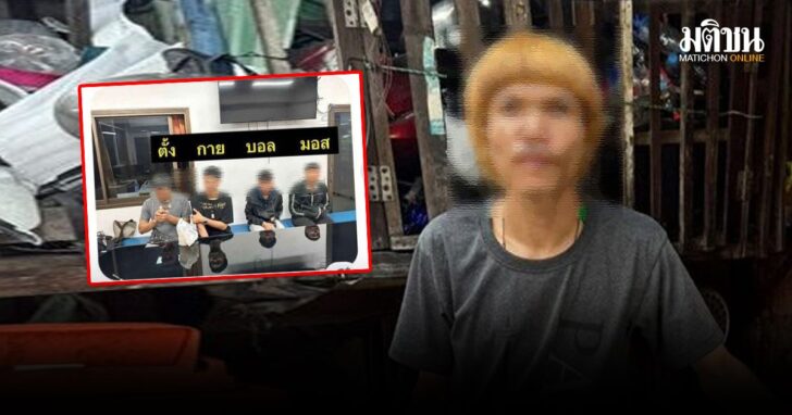 influu1 ช่างเหมียว