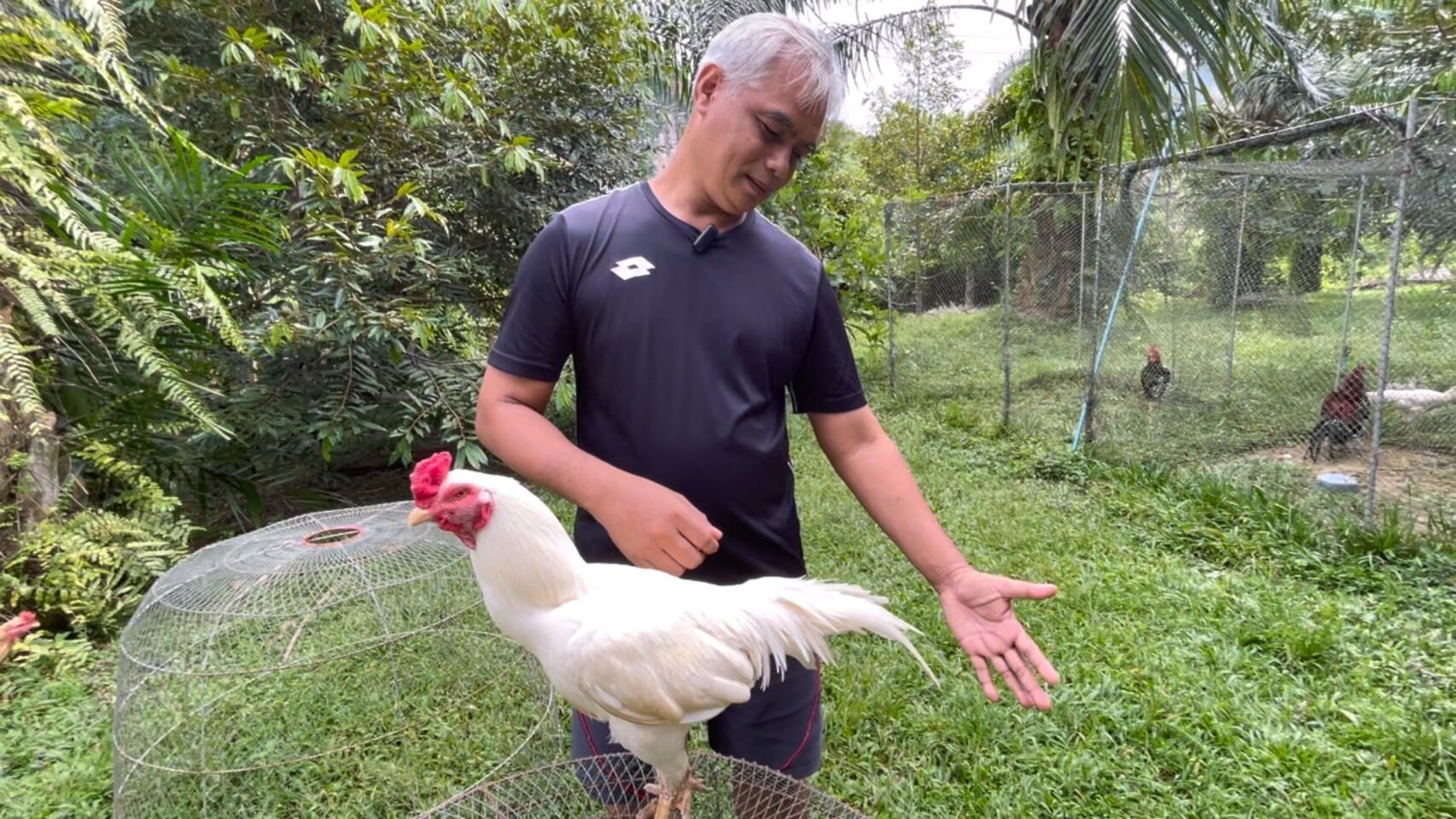 Về Cộng Đồng Đá Gà