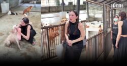 เปิดบ้านหมาจรของ อั้ม พัชราภา ดูแลกว่า 130 ตัว เอ ศุภชัย เผยภาพสุดอบอุ่นหัวใจ