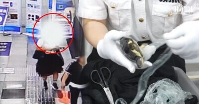 เห็นเดินตัวแข็งทื่อ ศุลกากรเซินเจิ้น ขอตรวจ 2 หญิงจีน อึ้ง ซุกเต่าใต้กระโปรง 68 ตัว