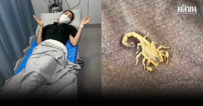 ‘เบลล่า’ เล่านาทีถูกหามส่งรพ. เหตุโดนแมงป่องต่อยกลางกองถ่าย สุดแกร่ง กลับมาลุยงานต่อ