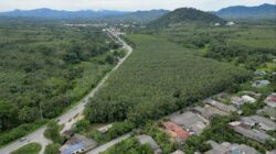 ยะลา เมืองยางพาราหมื่นล้าน! เปิดสูตรสำเร็จ “สุดยอดพืชเศรษฐกิจแดนใต้” ที่ตลาดโลกต้องการ