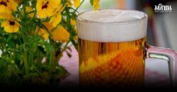 เริ่ม 1 พ.ย. เครื่องดื่มแอลกอฮอล์ในมาเลเซีย ปรับราคาขึ้น 10%