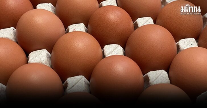 .สหกรณ์ไก่ไข่ แจ้งปรับลดราคาไข่ไก่ฟองละ 20 สต. มีผลทันที.