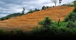 จนท.ลุยเขตป่าสงวนแห่งชาติป่าเขาสมิง หลังนายทุนเข้ายึดพื้นที่กว่า 100 ไร่ เตรียมปลูกทุเรียน