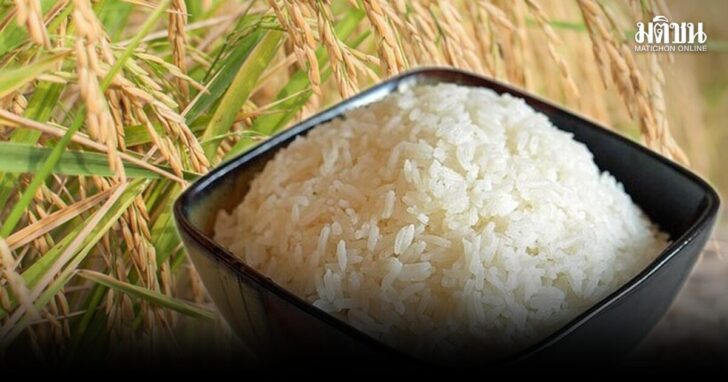 rice1200