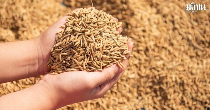 rice1200