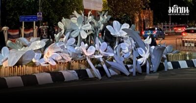 ขนกลับมาแล้ว เชียงใหม่ แก้งานดอกไม้สีดำเป็นขาวล้วน พร้อมตีเส้นขอบฟุตปาธขาวดำ