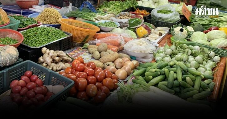 .คนกินเจไม่ต้องห่วง ค้าภายในยันปริมาณผักเพียงพอ เทียบราคาแล้ว ส่วนใหญ่ถูกกว่าปีก่อน.