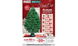 ไทวัสดุ และ บีเอ็นบี โฮม ตอกย้ำความเป็นเจ้าตลาดเทศกาลคริสต์มาส