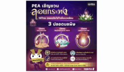 PEA ห่วงใยประชาชน ช่วงเทศกาลลอยกระทง เตรียมพร้อมระบบไฟฟ้า 24 ชั่วโมง