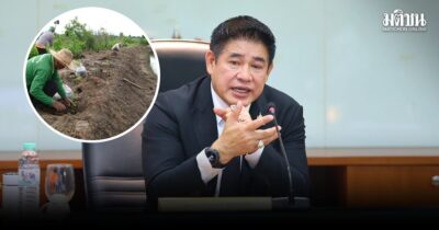 ธรรมนัส สั่งลุยโครงการปลูกยูคาลิปตัสบนคันนา พร้อมจับมือเอกชน รับซื้อจากเกษตรกร