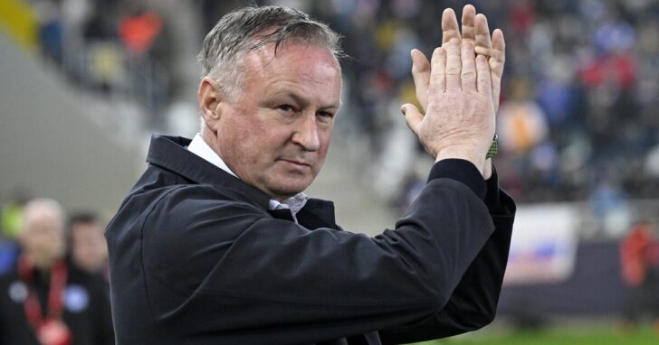 World Cup - UEFA Qualifiers - Group A - Slovakia v Northern Ireland