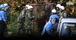 ญี่ปุ่นส่งทหาร รับมือปัญหา หมีทำร้ายประชาชนพุ่ง