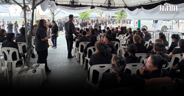 cidd2 wed