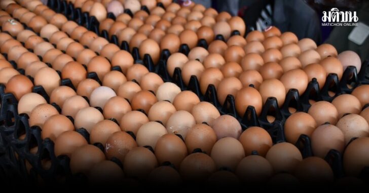 egg1200