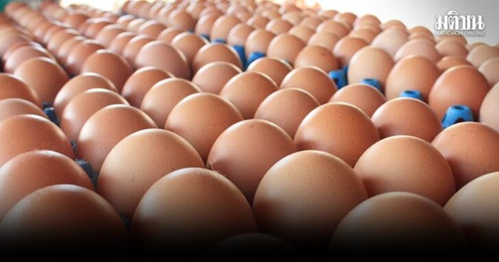 egg1200