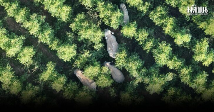 el1