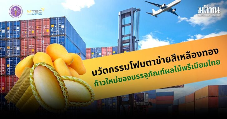 life โฟมตาข่ายสีเหลืองทอง : นวัตกรรมบรรจุภัณฑ์ผลไม้พรีเมียมไทย