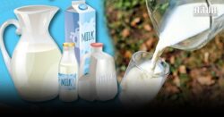 อ.เจษฎ์ เปิด 7 ข้อ เคลียร์ชัดความเชื่อผิดๆเรื่อง ‘การดื่มนม’ หวั่นทำคนหวาดกลัวโดยใช่เหตุ