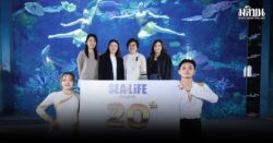 ซีไลฟ์ แบงคอก ฉลอง 20 ปียิ่งใหญ่ จัดแสดง Dive Into the Water Dance Show