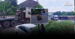 ระทึก! รถเทรลเลอร์ โผล่กลางอู่แสมดำ ขับมาอย่างไว เกี่ยวเสาไฟฟ้าเกือบหัก คาดหนีตำรวจ