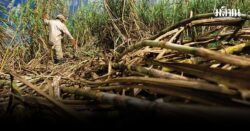 จีนลงดาบซ้ำ! สั่งระงับนำเข้าน้ำเชื่อมไทย หลังพบ 10 โรงงานไม่ผ่านมาตรฐาน ผู้ผลิตไทยโวยหนัก