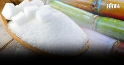 เริ่มพรุ่งนี้! สอน.ขึ้นราคา ‘น้ำตาลทราย’ หน้าโรงงาน กก.ละ 3 บาท จาก 21 เป็น 24 บาท