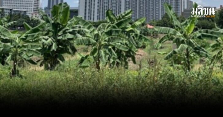 .มหาดไทย ประกาศ 69 จังหวัด สำรวจรังวัดทำแผนที่ เตรียมออกโฉนดที่ดิน ปีงบ 2569.