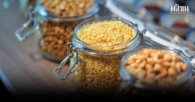 สุขภาพ ‘โลก’ เริ่มที่จานอาหาร จับตายุคเปลี่ยนผ่าน โปรตีนสัตว์สู่ ‘โปรตีนพืช’ มนุษยชาติได้อะไร? สุขภาพ ‘โลก’ เริ่มที่จานอาหาร จับตายุคเปลี่ยนผ่าน โปรตีนสัตว์สู่ ‘โปรตีนพืช’ มนุษยชาติได้อะไร?