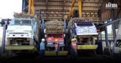 โรงงานน้ำตาลเพิ่มสัดส่วนลดเผา กอน.ไฟเขียวให้หีบเร็วขึ้น