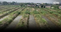 ภาษีที่ดิน 2569