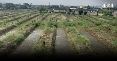 ภาษีที่ดิน 2569