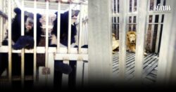 อุทยานฯเตรียมย้าย สิงโต-หมีควาย-หมีหมา จากชายแดนบ้านท่าเส้น ส่งบางละมุง-เขาสนไม่เกินตีสองคืนนี้