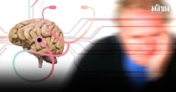 รู้จัก ‘วิธีสำรองสมอง’ ชะลอ ‘สมองเสื่อม’ ทำงานอดิเรกแก้เหงาช่วยลดความเสี่ยง