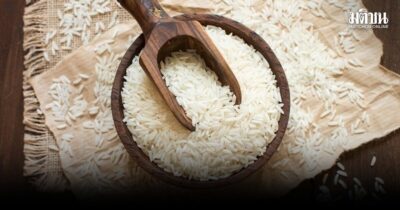 ไทยไม่พร้อมส่งจีนธ.ค. นี้ สะพัดข้าวแสนตันดีเลย์ ติดเทคนิคจีทูจี-รอเคลียร์ พณ.ดันพันธุ์ไม้ไทยเจาะตลาดซาอุฯ